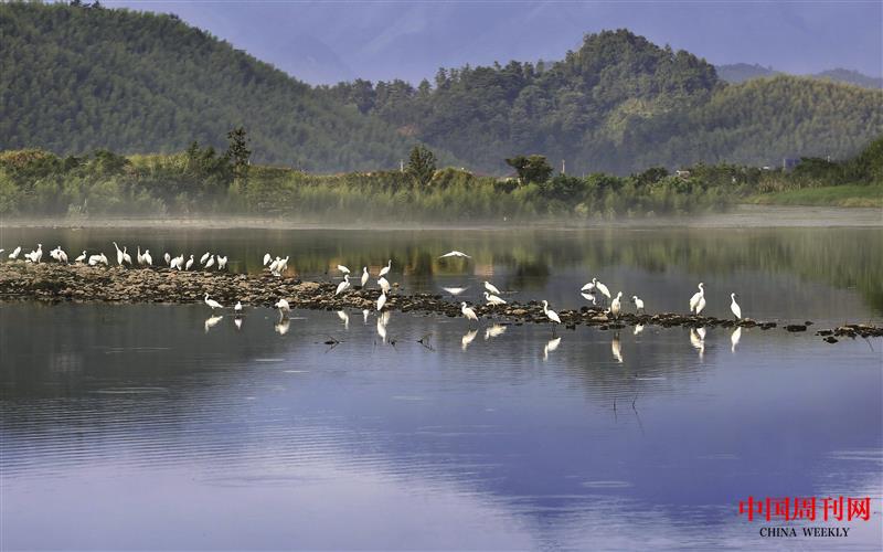 生態(tài)臺(tái)州.JPG